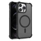 For iPhone 12 / 12 Pro Skin Feel MagSafe Phone Case(Black) - 1
