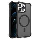 For iPhone 12 Pro Max Skin Feel MagSafe Phone Case(Black) - 1