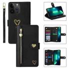 For iPhone 13 Pro Max POLA Love Multi-Card Slots Zipper Wallet Leather Phone Case(Black) - 1