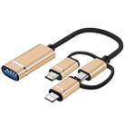 3 in 1 USB Female to Micro USB, Type-C, 8 Pin Male OTG Adapter(Gold) - 1