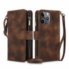For iPhone 11 Pro Max Dream 9-Card Zipper Wallet RFID Leather Phone Case with Lanyard(Brown) - 1
