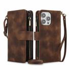 For iPhone 12 Pro Max Dream 9-Card Zipper Wallet RFID Leather Phone Case with Lanyard(Brown) - 1