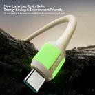 JOYROOM S-A53 Fluorescent Series 3A USB to Type-C Fast Charging Data Cable, Length:1.2m(Beige) - 2