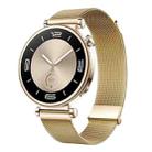 For Huawei Watch GT5 41mm Daul-section Magnetic Milan Steel Mesh Watch Band(Gold) - 1