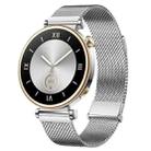 For Huawei Watch GT5 41mm Daul-section Magnetic Milan Steel Mesh Watch Band(Silver) - 1