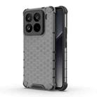 For Xiaomi 15 Pro 5G Honeycomb Shockproof Phone Case(Black) - 1