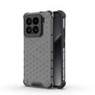 For Xiaomi 15 5G Honeycomb Shockproof Phone Case(Black) - 1