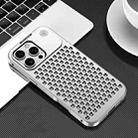 For iPhone 16 Pro R-JUST RJ58 Aromatherapy Metal Cooling Phone Case(Silver) - 1