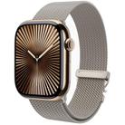 For Apple Watch 42mm / 41mm / 40mm / 38mm Milanese Buckle Titanium Alloy Watch Band(Silver) - 1