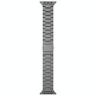 For Apple Watch 46mm / 49mm / 45mm / 44mm Tri-beads Magnetic Titanium Alloy Watch Band(Grey) - 2