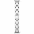 For Apple Watch 42mm / 41mm / 40mm / 38mm Tri-beads Magnetic Titanium Alloy Watch Band(Silver) - 2