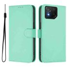 For Asus ROG Phone 8 / 8 Pro Skin Feel Solid Color Leather Phone Case with Lanyard(Mint Green) - 2