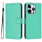 For iPhone 15 Pro Skin Feel Solid Color Leather Phone Case with Lanyard(Green) - 2
