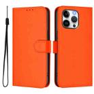 For iPhone 14 Pro Max Skin Feel Solid Color Leather Phone Case with Lanyard(Orange) - 2