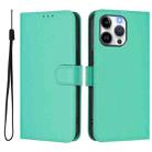 For iPhone 14 Pro Max Skin Feel Solid Color Leather Phone Case with Lanyard(Green) - 2