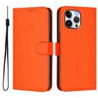 For iPhone 13 Pro Max Skin Feel Solid Color Leather Phone Case with Lanyard(Orange) - 2