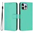 For iPhone 13 Pro Max Skin Feel Solid Color Leather Phone Case with Lanyard(Green) - 2