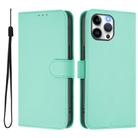 For iPhone 13 Pro Max Skin Feel Solid Color Leather Phone Case with Lanyard(Mint Green) - 2