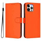 For iPhone 12 Pro Max Skin Feel Solid Color Leather Phone Case with Lanyard(Orange) - 2