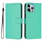 For iPhone 12 Pro Max Skin Feel Solid Color Leather Phone Case with Lanyard(Green) - 2