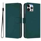 For iPhone 12 Pro Max Skin Feel Solid Color Leather Phone Case with Lanyard(Dark Green) - 2