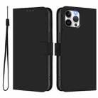 For iPhone 12 Pro Max Skin Feel Solid Color Leather Phone Case with Lanyard(Black) - 2