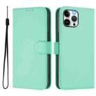 For iPhone 12 Pro Max Skin Feel Solid Color Leather Phone Case with Lanyard(Mint Green) - 2