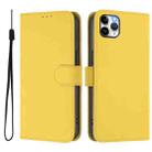 For iPhone 11 Pro Max Skin Feel Solid Color Leather Phone Case with Lanyard(Lemon Yellow) - 2