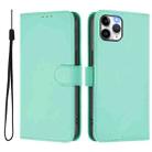 For iPhone 11 Pro Skin Feel Solid Color Leather Phone Case with Lanyard(Mint Green) - 2
