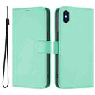 For iPhone XS Max Skin Feel Solid Color Leather Phone Case with Lanyard(Mint Green) - 2