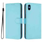 For iPhone XS Max Skin Feel Solid Color Leather Phone Case with Lanyard(Sky Blue) - 2