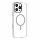 For iPhone 16 Pro Max Mutural Skin Feel Series Frosted MagSafe Magnetic Phone Case(Grey) - 1