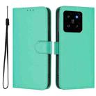 For Xiaomi 14 Skin Feel Solid Color Leather Phone Case with Lanyard(Green) - 2