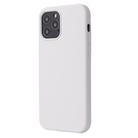 For iPhone 12 mini Solid Color Liquid Silicone Shockproof Protective Case(White) - 1