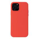 For iPhone 12 mini Solid Color Liquid Silicone Shockproof Protective Case(Coral Red) - 1