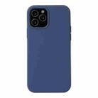 For iPhone 12 Pro Max Solid Color Liquid Silicone Shockproof Protective Case(Diamond Blue) - 1