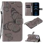 For iPhone 12 Pro Max 3D Butterfly Embossed Pattern Horizontal Flip Leather Case with Holder & Card Slot & Wallet & Lanyard(Grey) - 1