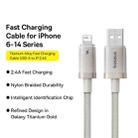 Baseus Titanium Alloy Series 2.4A USB to 8 Pin Fast Charging Cable, Length:1m(Gold) - 2