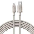 Baseus Titanium Alloy Series 2.4A USB to 8 Pin Fast Charging Cable, Length:2m(Gold) - 1