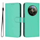 For Realme 12+ 5G Global Skin Feel Solid Color Leather Phone Case with Lanyard(Green) - 2