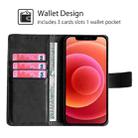 For iPhone 16 Skin Feel Crocodile Magnetic Clasp Leather Phone Case(Black) - 3