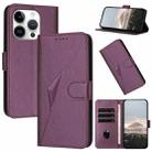 For iPhone 16 Pro Triangle Pattern Buckle Clasp Leather Phone Case(Dark Purple) - 1