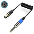 Mini 4 Pin XLR to 6.35mm Stereo Microphone Aux Audio Cable Coiled Adapter Cable, Length: 0.5m(Black) - 1