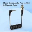 Mini 3 Pin XLR Female to 3.5mm TRS PC Camera Microphone Coiled Stereo Audio Adapter Cable, Length: 0.5m(Black) - 2