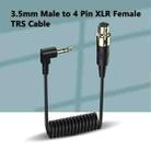 Mini 4 Pin XLR Female to 3.5mm TRS PC Camera Microphone Coiled Stereo Audio Adapter Cable, Length: 0.5m(Black) - 2