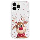 For iPhone 16 Pro Max Christmas Painted Pattern TPU Transparent Phone Case(Elk) - 2