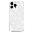 For iPhone 16 Pro Christmas Painted Pattern TPU Transparent Phone Case(Snowflakes) - 2