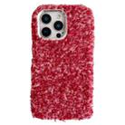 For iPhone 16 Pro Max Wool Fiber Plush TPU Phone Case(Red) - 1