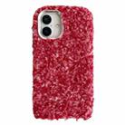 For iPhone 16 Wool Fiber Plush TPU Phone Case(Red) - 1