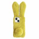 For iPhone 15 Solid Color Plush Rabbit TPU Phone Case(Light Green) - 1